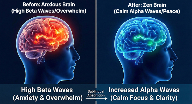 Stress relief supplement